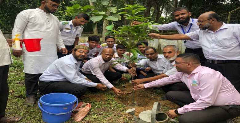 বৃক্ষরোপণ কর্মসূচি